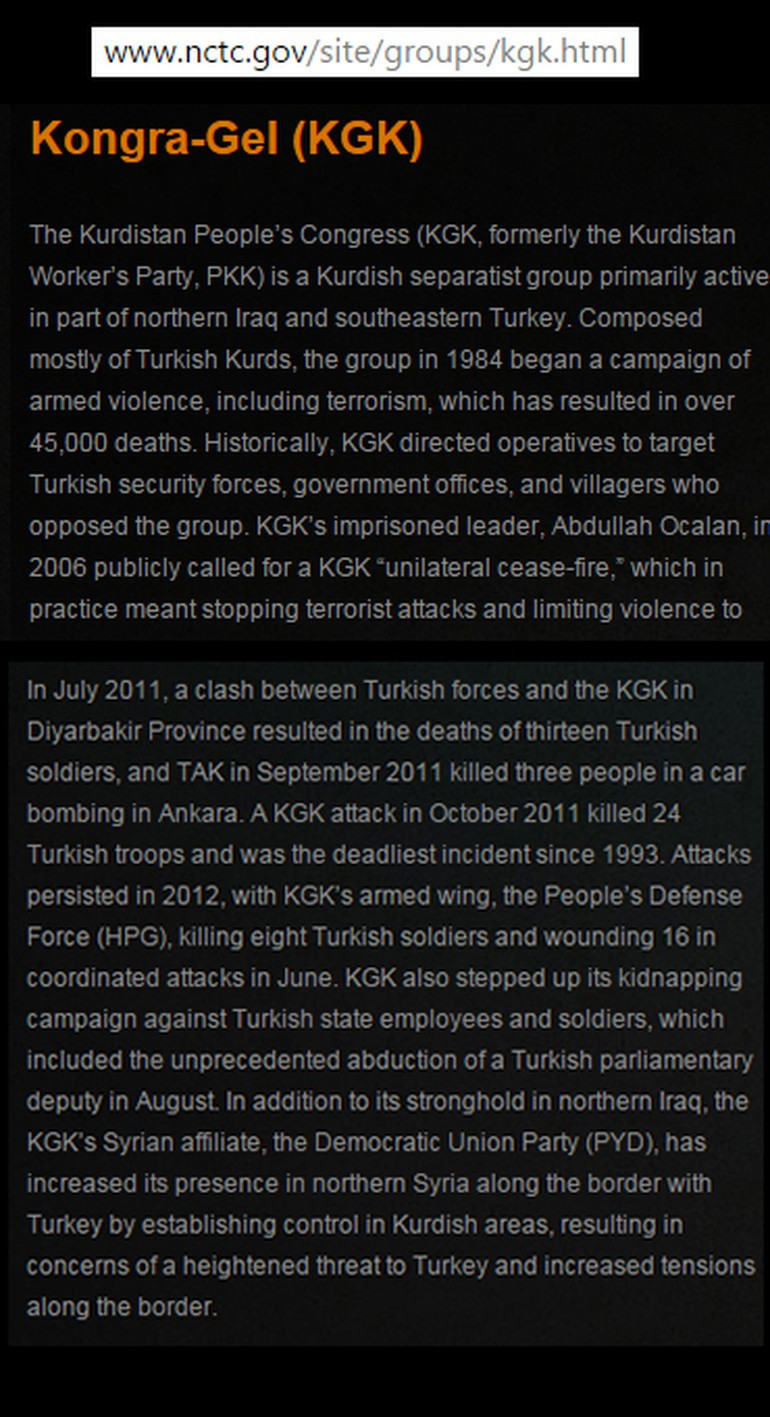 ABD, PYD’nin olduğu terör sayfasını erişime kapattı