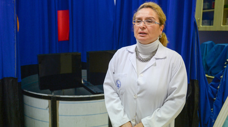 Zihin gelişiminde bor mucizesi