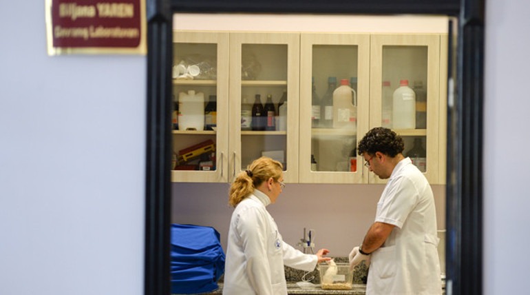 Zihin gelişiminde bor mucizesi