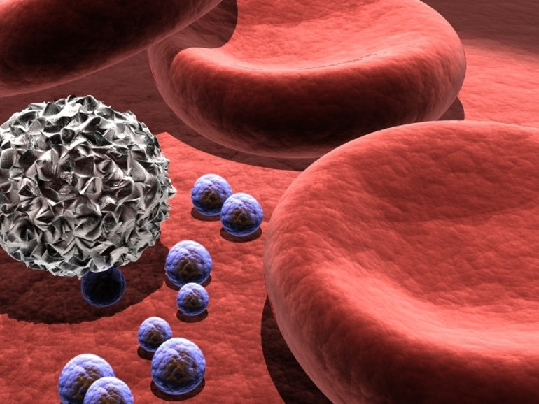 Savaşçı T hücresi ile kanser tedavisi