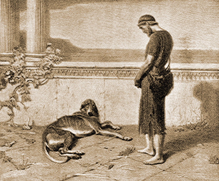 Bombalar patlarken sadık bir köpeğin gözüyle görmek