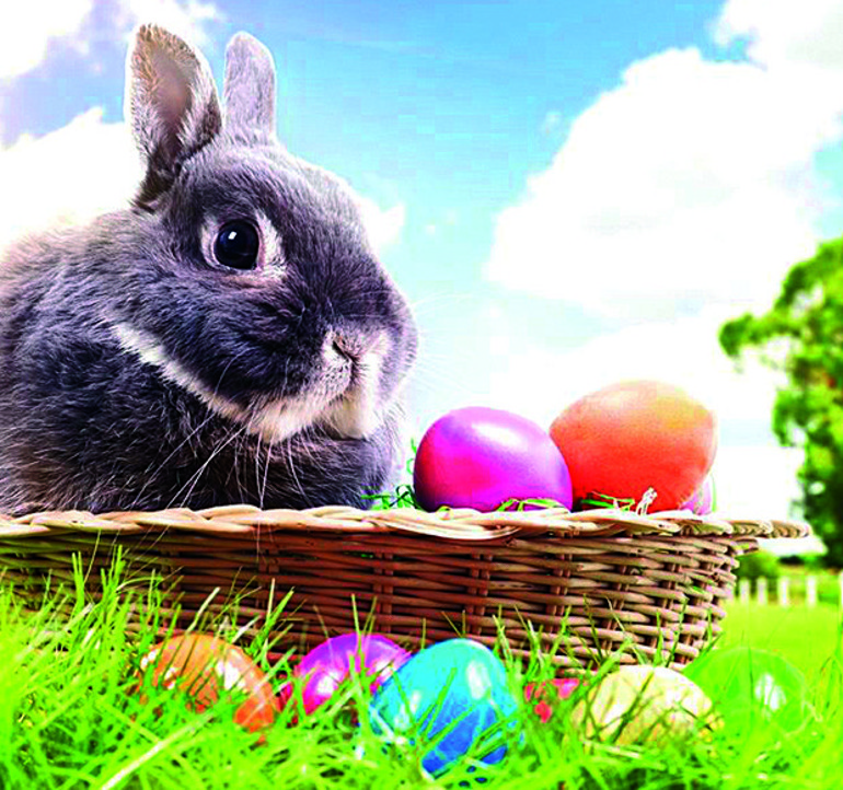 Prens Albert’in kulübü JIMMYZ İstanbul’a geliyor