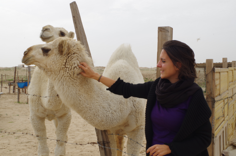 Körfezin şatafatlı ülkesi: Kuveyt