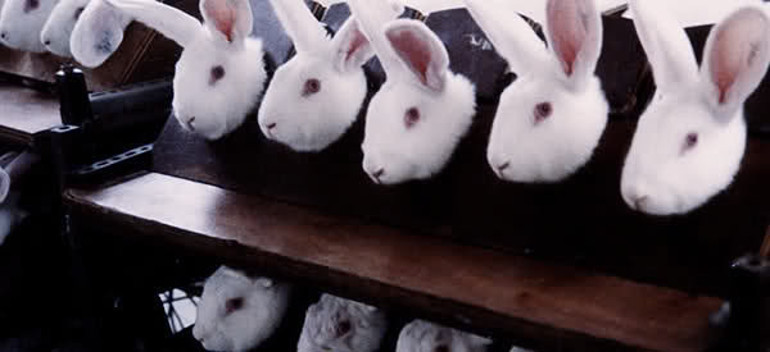 Simli göz farı genç kadını gözünden etti