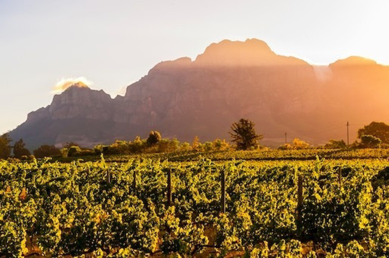 36 saatte Cape Townda gezilecek yerler