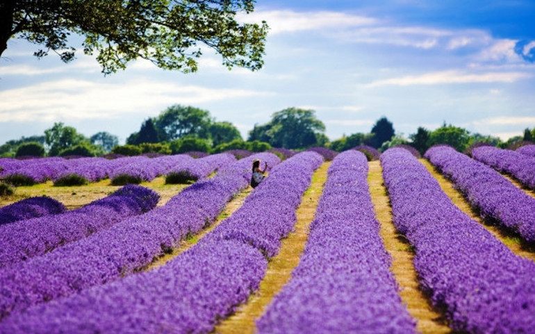 En güzel Anneler Günü hediyesi 2016