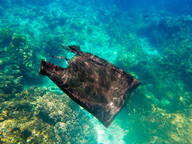 Plastik poşetin zararları