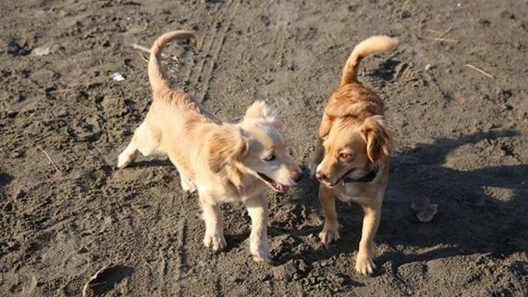 Bu hafta hangi filmler vizyonda