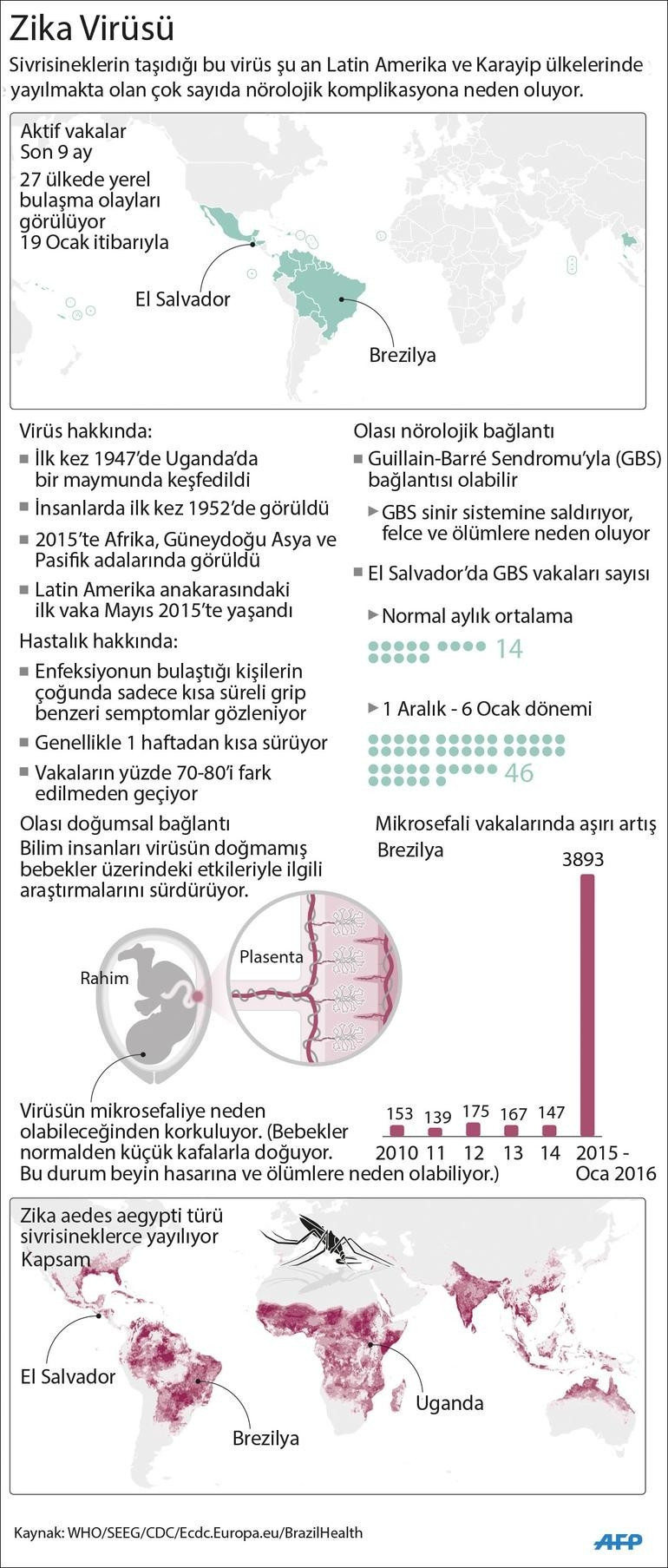 Zika aşısı insanlar üzerinde denenecek