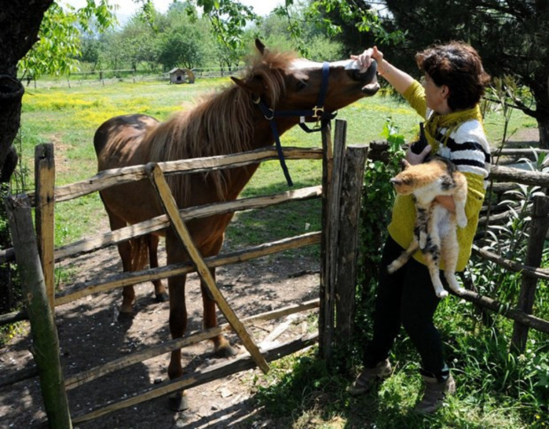 İstanbula yakın 300 TLnin altında tatil fırsatları