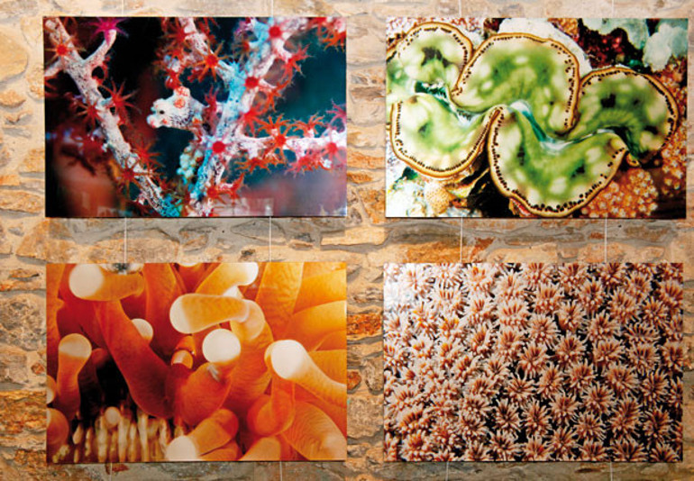 3 gün 3 gece Nikki Beach eğlencesi