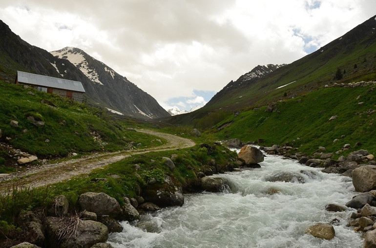 Sana güzel diyorlar dere içi Elevit...