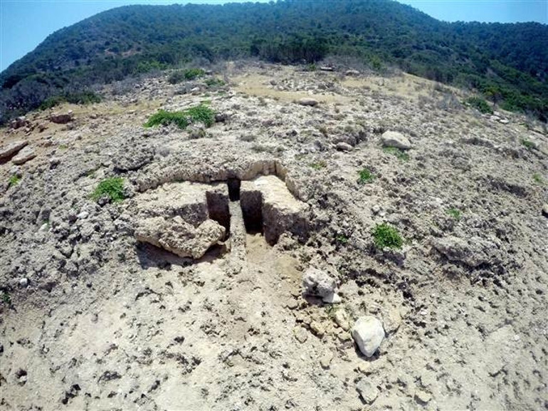 Mersindeki Dana adasında bulundu