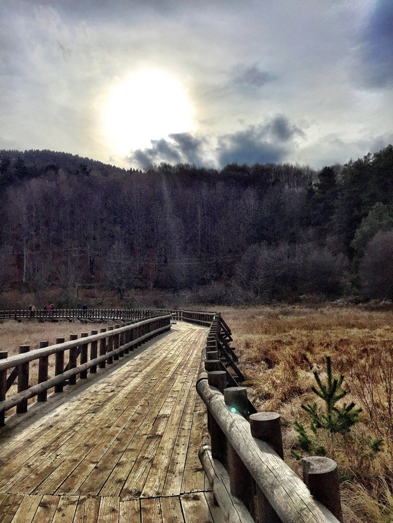 Sonbaharda kartpostal gibi: Abant