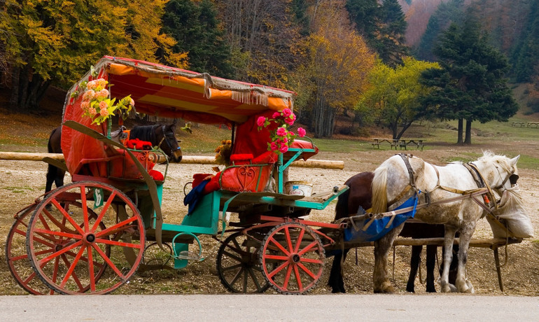 Sonbaharda kartpostal gibi: Abant