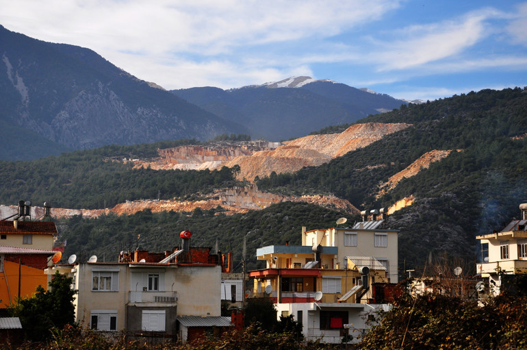 Finike’de arı katliamı