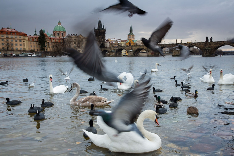 Güzeller güzeli Prag