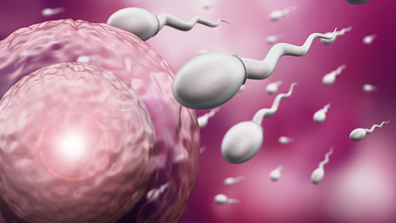 Sperm enfeksiyonları önemli bir kısırlık nedendir