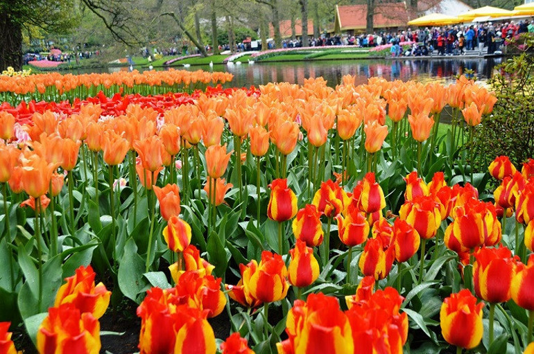 Bir günlüğüne turuncuya bürünen şehir