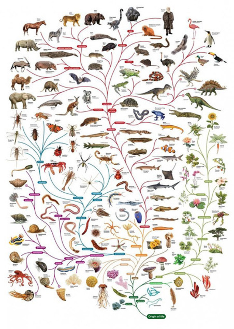 Dünyadaki yaşamın tohumları uzaydan gelmiş olabilir