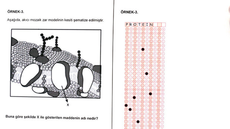 LYS açık uçlu soru örnekleri ÖSYM tarafından yayımlandı İşte 2017 sınav değişiklikleri