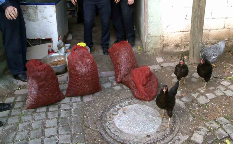Suç ve ceza
