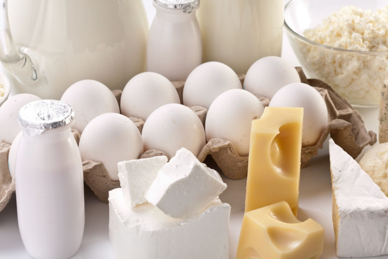 Protein zengini 9 besin