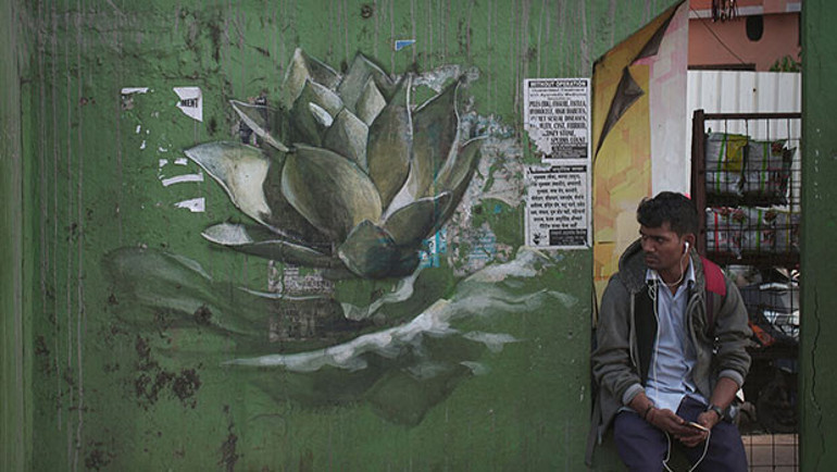 Nilüferin gücüne inanmak