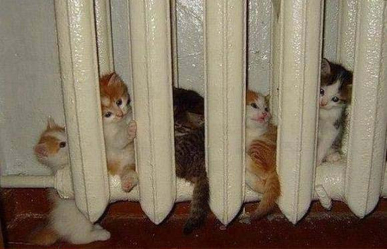 Yurttan eve dönen öğrenci mutluluğunun 7 sebebi