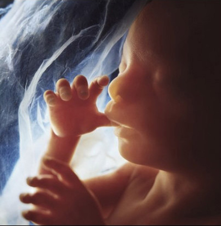 Fetus fotoğraflarıyla tanınan ünlü sanatçı hayatını kaybetti