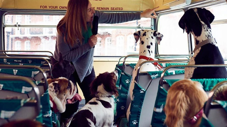 Londrada köpeklere özel şehir turu yapılıyor