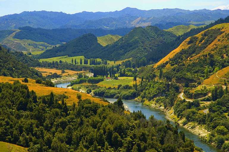 Yeni Zelandanın canlı statüsüne giren nehri: Whanganui