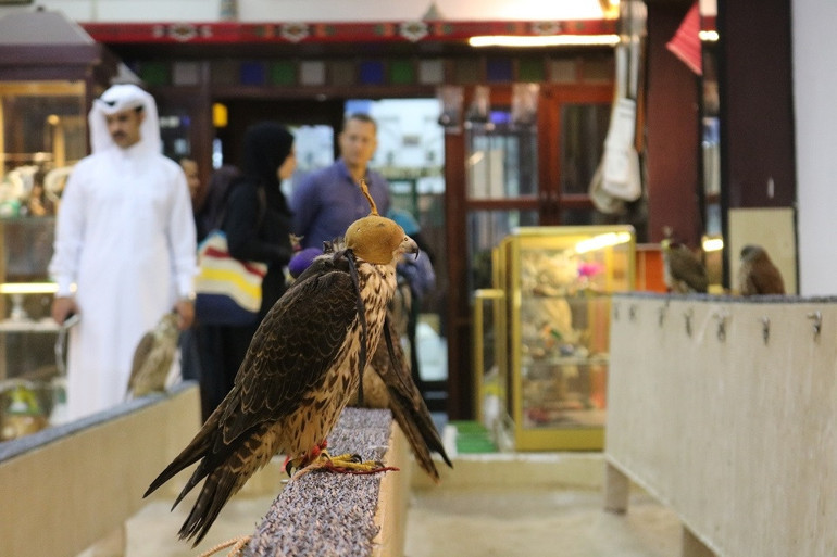 Katar Uluslararası Yemek Festivali ve Doha