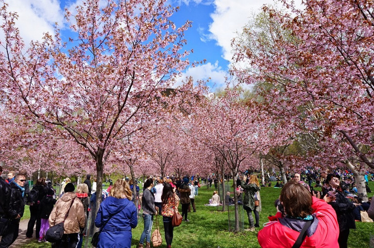 Yok olma tehlikesiyle karşı karşıya olan doğa harikaları