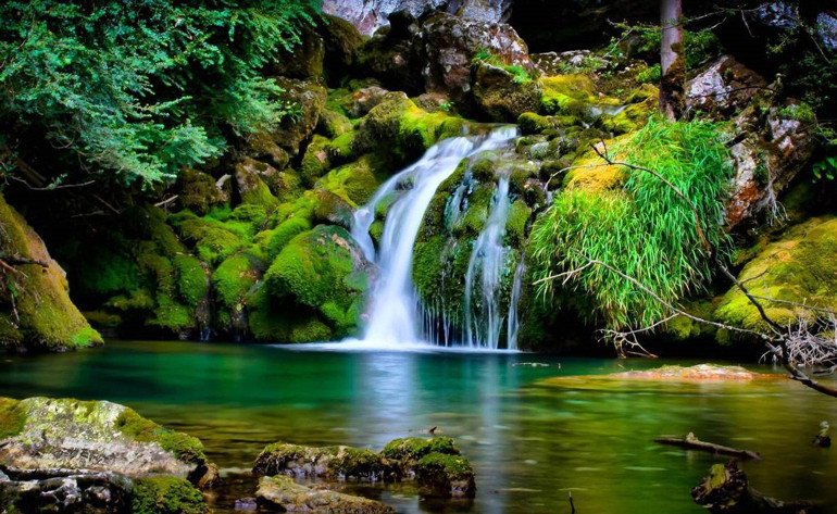 Yok olma tehlikesiyle karşı karşıya olan doğa harikaları