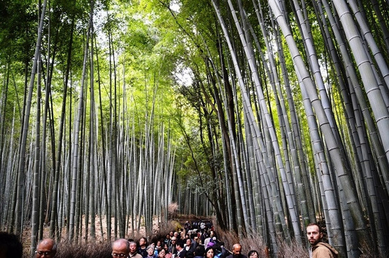 Teknolojinin ve baharın yurdu: Kyoto / Japonya