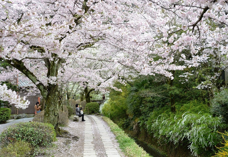 Teknolojinin ve baharın yurdu: Kyoto / Japonya