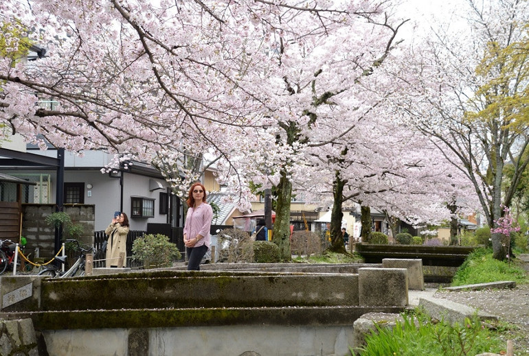 Teknolojinin ve baharın yurdu: Kyoto / Japonya