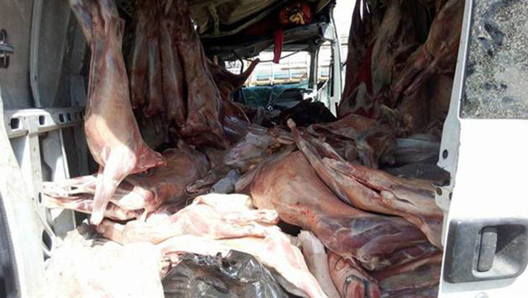 Kaza yapan minibüsten kaçak et çıktı