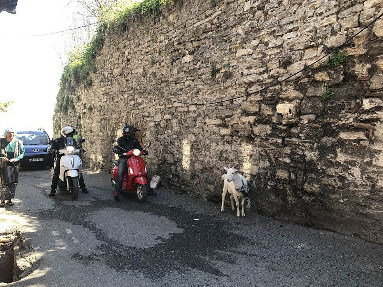 Scooter’la seyahat oh ne rahat...