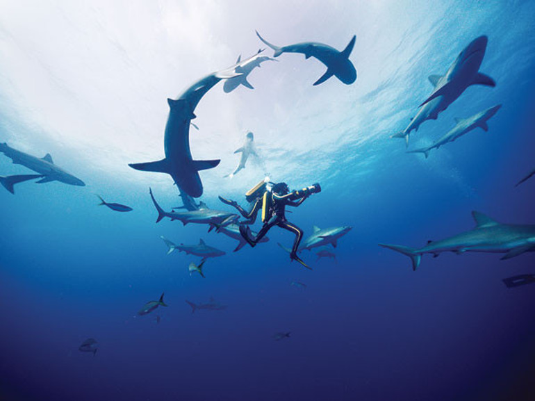 ‘Kaptan’ın  hayat defteri…