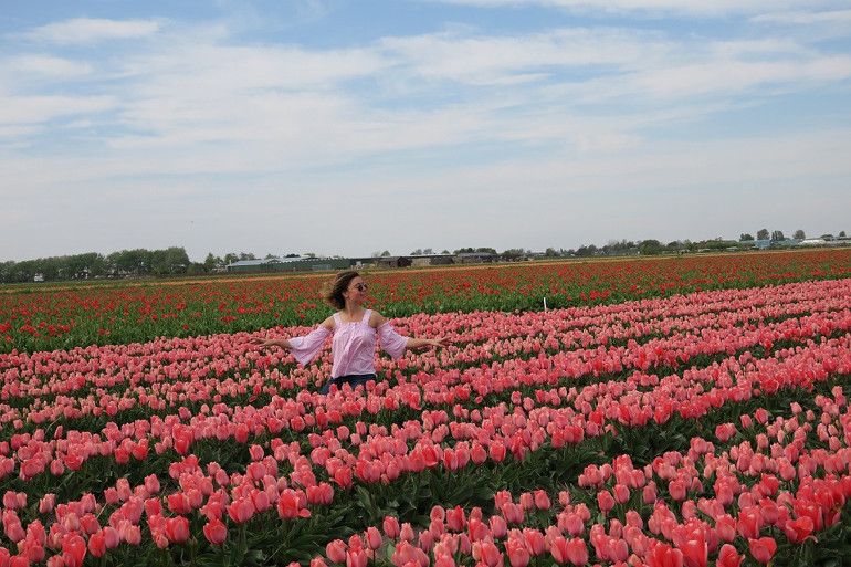 Harikalar diyarı Hollanda kasabaları