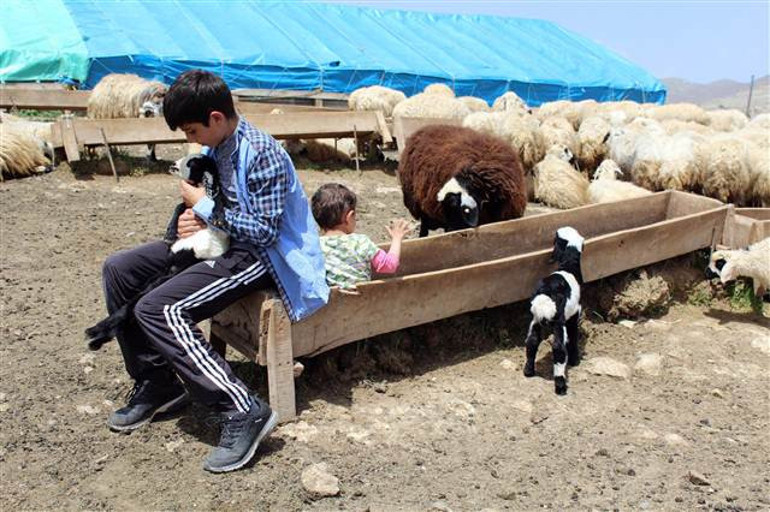 Türkiye onları konuşuyor: 120, 119...