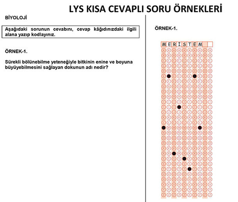 Açık uçlu soru nedir