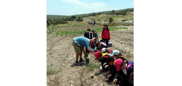 O vadide bir mucize yarattı
