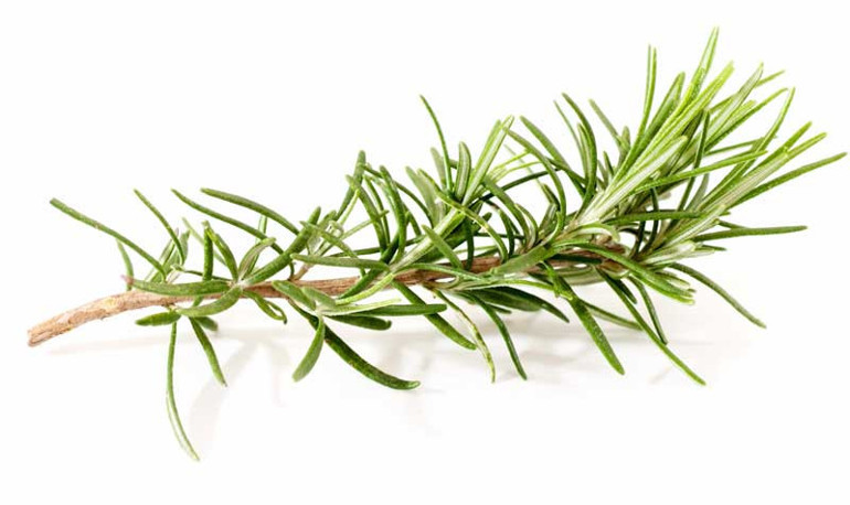 Güneşten sonra cildinizi ferahlatacak 4 doğal tonik tarif