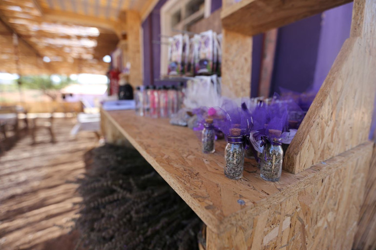 Lavanta Kokulu Kadınlar