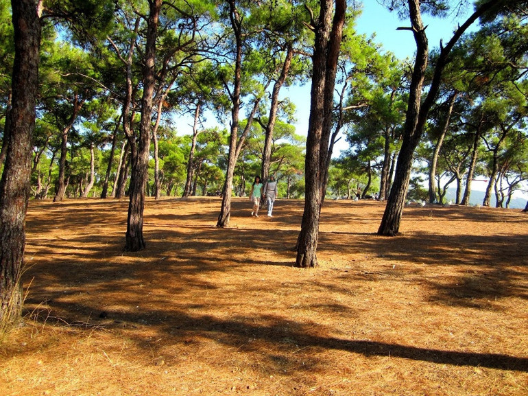 İstanbul’da piknik yapılacak yerler