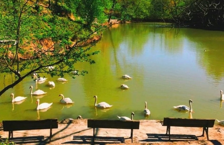 İstanbul’da piknik yapılacak yerler