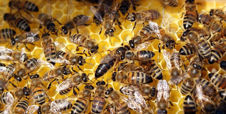 Çocuklarla kazasız tatil rehberi